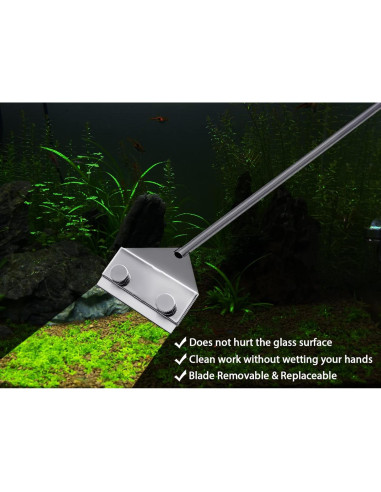 Raspador de Algas Acero Inoxidable 304 Famgee 65 cm con 10 Cuchillas