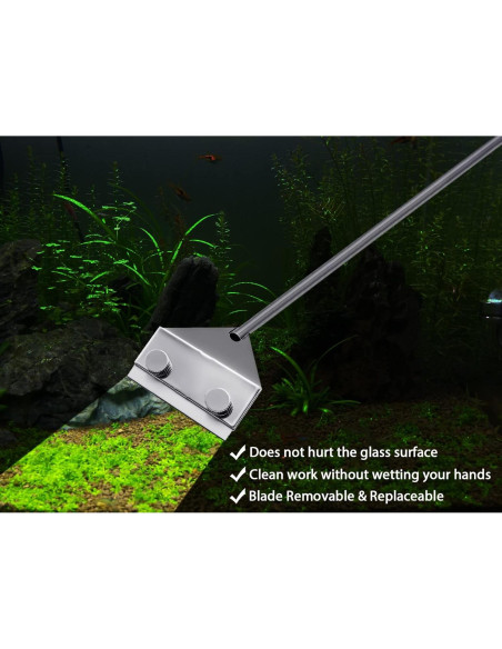 Raspador de Algas Acero Inoxidable 304 Famgee 65 cm con 10 Cuchillas