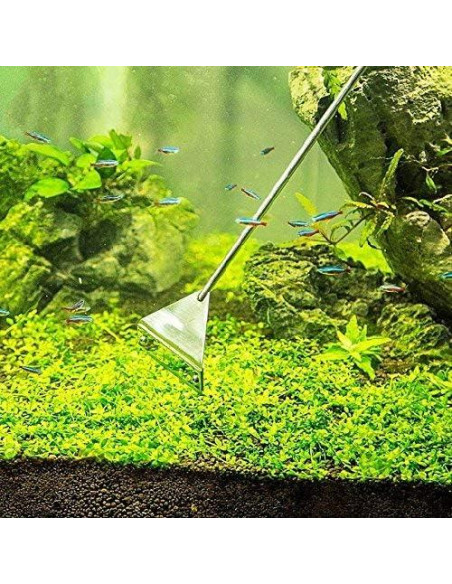 Raspador de Algas Acero Inoxidable 304 Famgee 65 cm con 10 Cuchillas