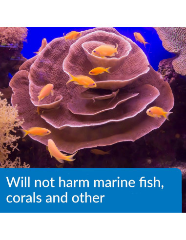 API MARINE ALGAEFIX Control de Algas 473 ml Acuario Marino