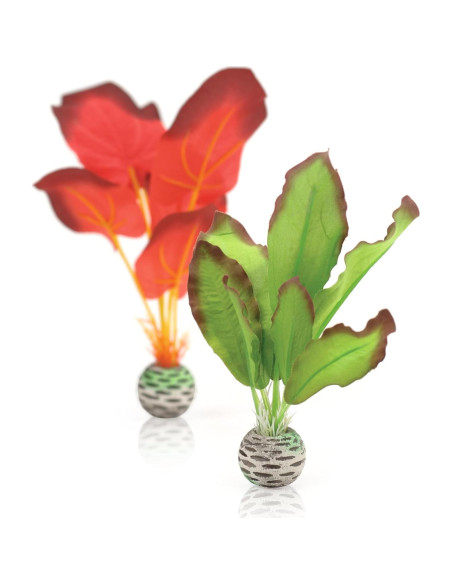 Conjunto de Plantas de Seda biOrb Pequeño Verde y Rojo 20 cm Conjunto de Plantas de Seda biOrb Pequeño Verde y Rojo 20 cm