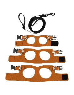 Conjunto de Arnés y Correa para Dragón Barbudo - 3 Tamaños