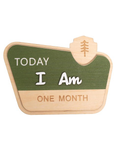 Tarjeta Mensual de Hitos del Bebé CIEQR - Camping 19.3x19.3 cm