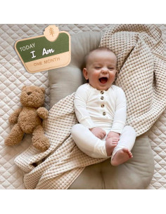 Tarjeta Mensual de Hitos del Bebé CIEQR - Camping 19.3x19.3 cm 2