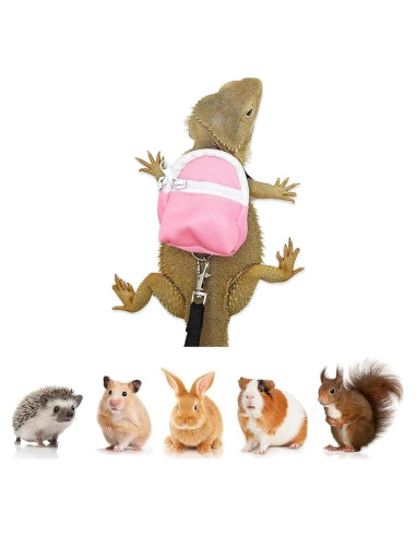 Conjunto Arnés y Correa para Reptiles FORZENA Rosa