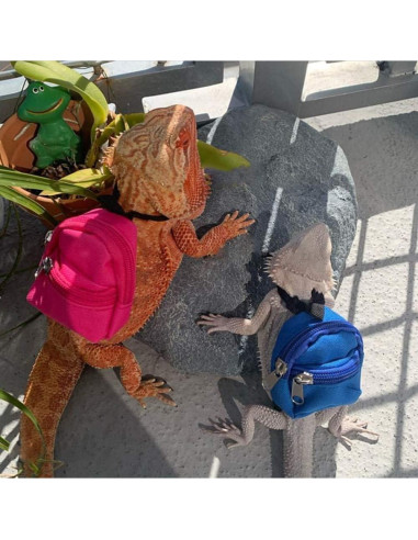 Conjunto Arnés y Correa para Reptiles FORZENA Rosa