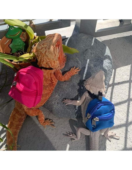 Conjunto Arnés y Correa para Reptiles FORZENA Rosa Conjunto Arnés y Correa para Reptiles FORZENA Rosa