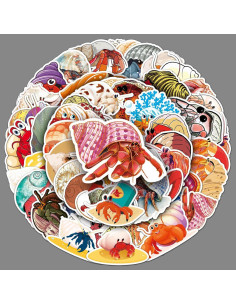 Calcomanías de Cangrejo Ermitaño 50 Pcs Vinilo Impermeable 2