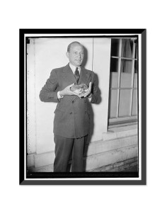 Impresión Enmarcada Histórica Puercoespines Tropicales 55.6x45.4cm