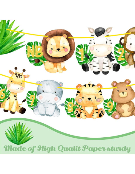 Banderín de Fotos Primer Cumpleaños Safari iPartyFun - 15 Tarjetas