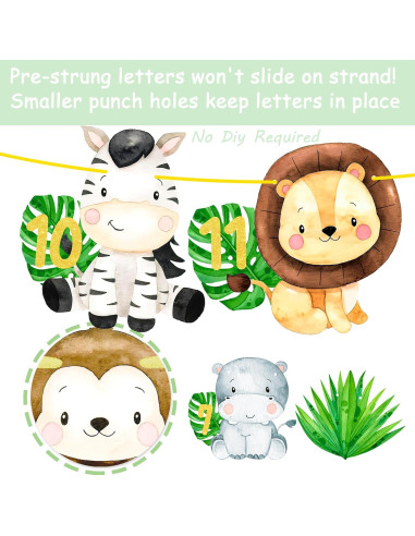 Banderín de Fotos Primer Cumpleaños Safari iPartyFun - 15 Tarjetas