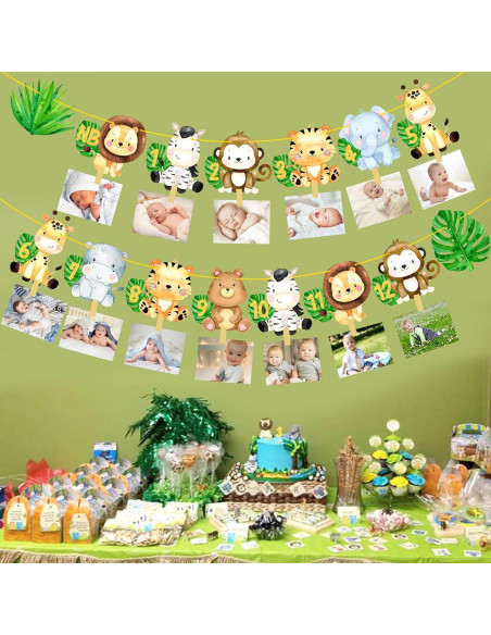 Banderín de Fotos Primer Cumpleaños Safari iPartyFun - 15 Tarjetas