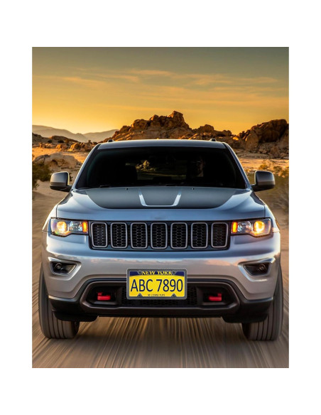 Marco de Placa de Licencia RCKJNJ Fibra de Carbono - Paquete de 2