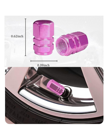 Marco de Placa de Licencia Rosa Shutuan - 2 Paquetes 31.75x16cm