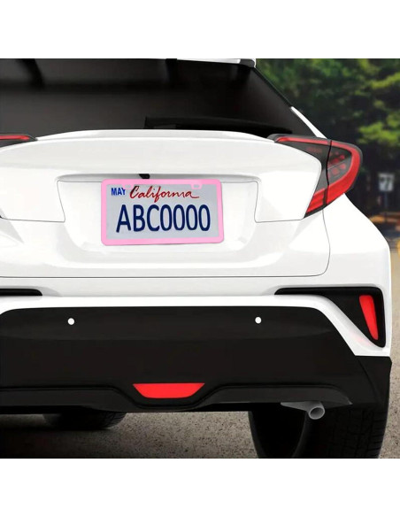 Marco de Placa de Licencia Rosa Shutuan - 2 Paquetes 31.75x16cm