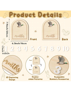 Tarjetas de Hitos Mensuales R HORSE 14 Piezas 3D Bebés 2