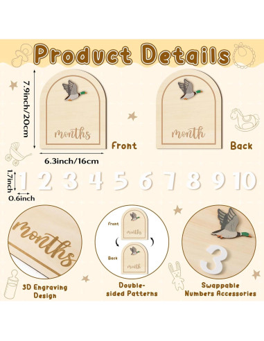 Tarjetas de Hitos Mensuales R HORSE 14 Piezas 3D Bebés