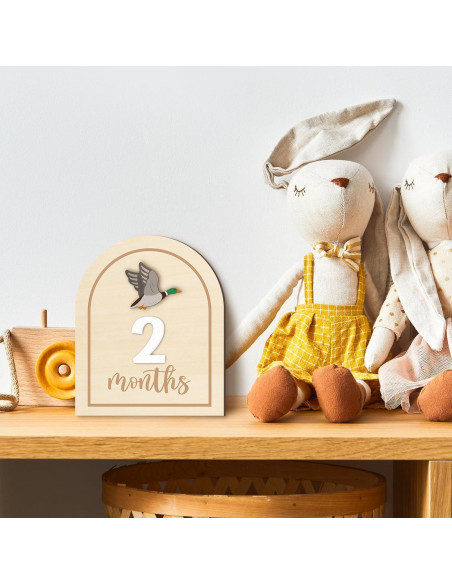 Tarjetas de Hitos Mensuales R HORSE 14 Piezas 3D Bebés