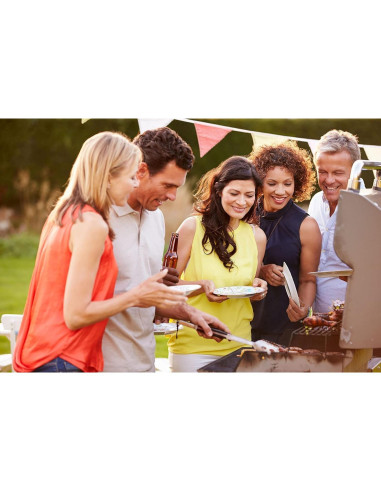 Pinchos de Acero Inoxidable Reutilizables 25.4 cm - MOCUMEI (16 Piezas)