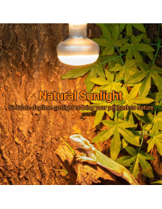 Lámpara de Calor 75W REPTI ZOO para Reptiles y Pollos 2