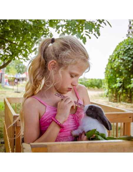 Golosinas de Heno Timothy Sofier 20pcs Masticables Naturales Golosinas de Heno Timothy Sofier 20pcs Masticables Naturales