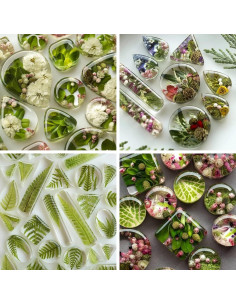 Moldes de Resina BABORUI para Joyería 38 Cavidades Silicona 2