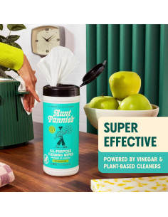 Toallitas de Limpieza de Vinagre Natural Aunt Fannie Eucalipto 35 Unidades 2