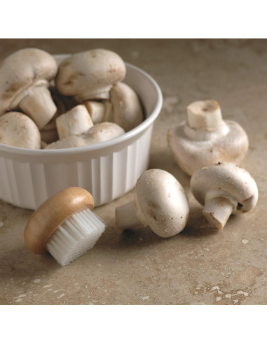 Cepillo para Champiñones de Madera Fox Run con Cerdas Suaves