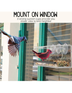 Comedero para Aves de Ventana Mrcrafts 30x10 cm con Ventosas 2