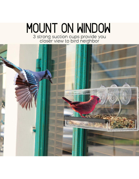Comedero para Aves de Ventana Mrcrafts 30x10 cm con Ventosas