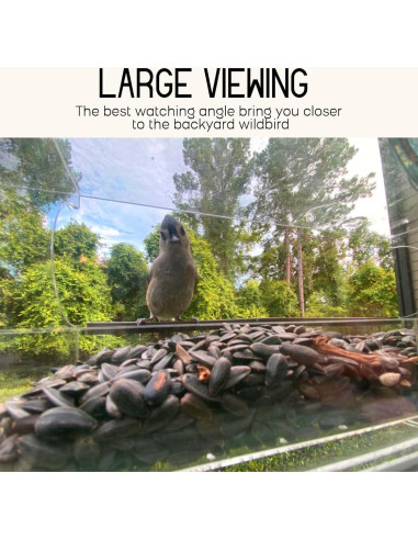 Comedero para Aves de Ventana Mrcrafts 30x10 cm con Ventosas