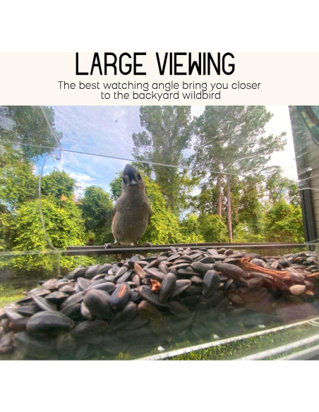 Comedero para Aves de Ventana Mrcrafts 30x10 cm con Ventosas