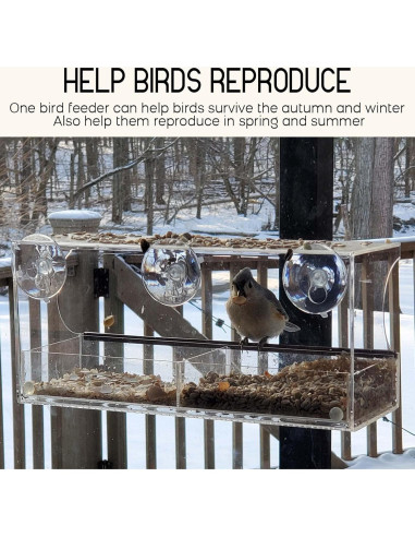 Comedero para Aves de Ventana Mrcrafts 30x10 cm con Ventosas