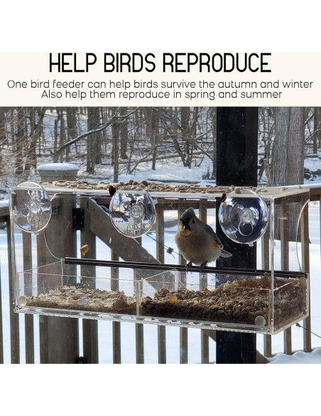 Comedero para Aves de Ventana Mrcrafts 30x10 cm con Ventosas