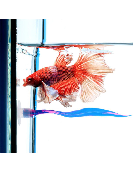 Hamaca de Silicona para Peces Betta WILLBOND - 2 Piezas Azul