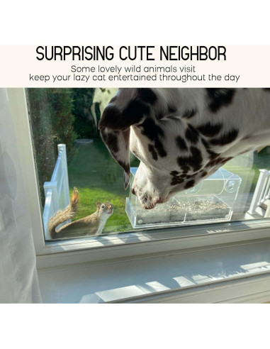 Comedero para Aves de Ventana Mrcrafts 30x10 cm con Ventosas