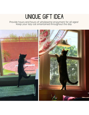 Comedero para Aves de Ventana Mrcrafts 30x10 cm con Ventosas