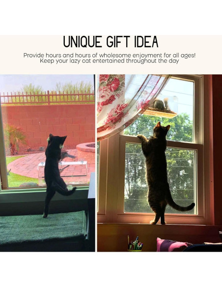 Comedero para Aves de Ventana Mrcrafts 30x10 cm con Ventosas