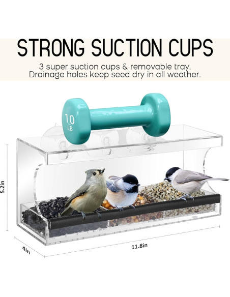 Comedero para Aves de Ventana Mrcrafts 30x10 cm con Ventosas