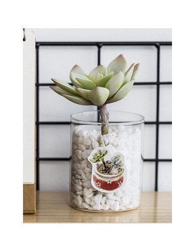 Stickers Estéticos de Suculentas KetA - 50 Piezas Verde