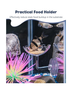 Plato de Alimentación para Camarones Pawfly en Forma de Flor 2