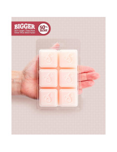 Cera Aromatizante Clavel Shortie's Candle 170 Gr. - 2 Piezas 2