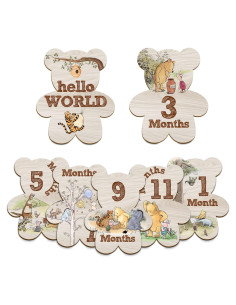 Conjunto de 7 Marcadores Mensuales de Hitos Winnie para Bebés