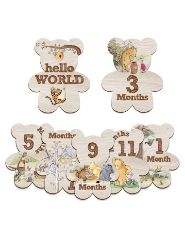 Conjunto de 7 Marcadores Mensuales de Hitos Winnie para Bebés