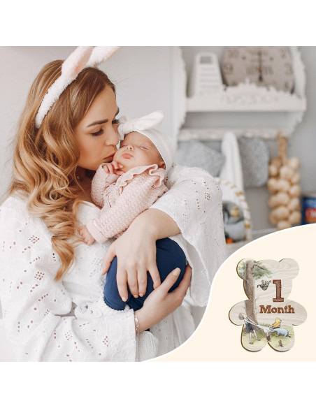 Conjunto de 7 Marcadores Mensuales de Hitos Winnie para Bebés