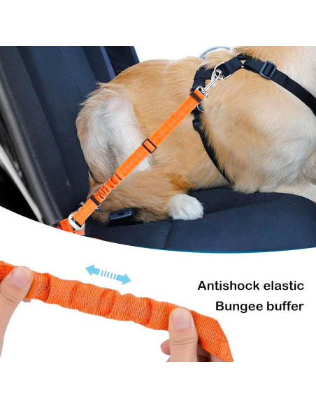 Arnés de Cinturón de Seguridad para Perros Bwogue Azul 1pieza