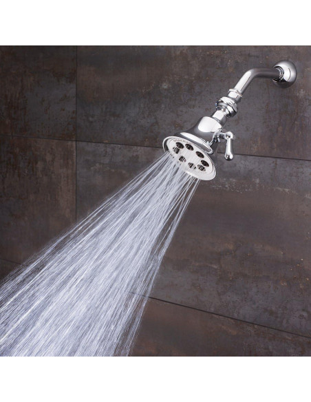 Cabezal de Ducha Retro Speakman S-3015-E175 1.75 GPM Cromo