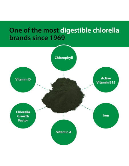 Suplemento de Algas Verdes en Polvo Sun Chlorella 100g