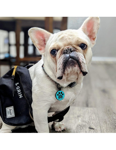 Etiqueta de Identificación QR para Mascotas MYLUCKYTAG - Silicona, Personalizable