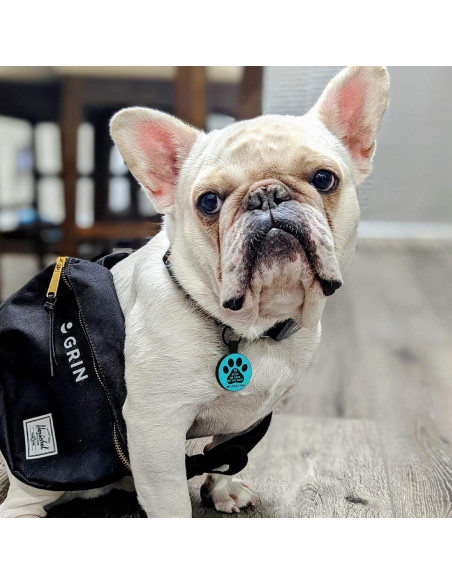 Etiqueta de Identificación QR para Mascotas MYLUCKYTAG - Silicona, Personalizable